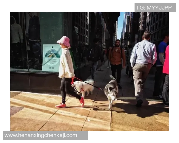足球巨星足迹：探索纽约城市魅力与球场传奇之旅